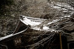 雪のお寺