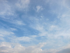 IMG_0595