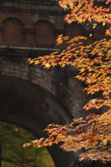 南禅寺の紅葉