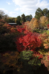 真紅の東福寺