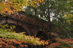 南禅寺の紅葉