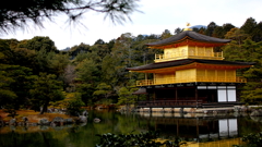 金閣寺