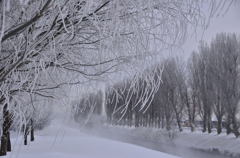 しだれ雪