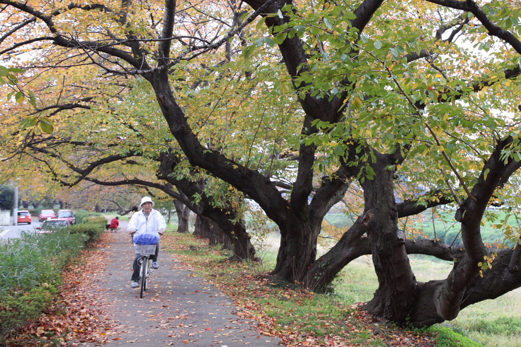 元荒川の土手で02