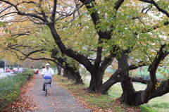 元荒川の土手で02