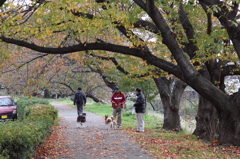 元荒川の土手で01