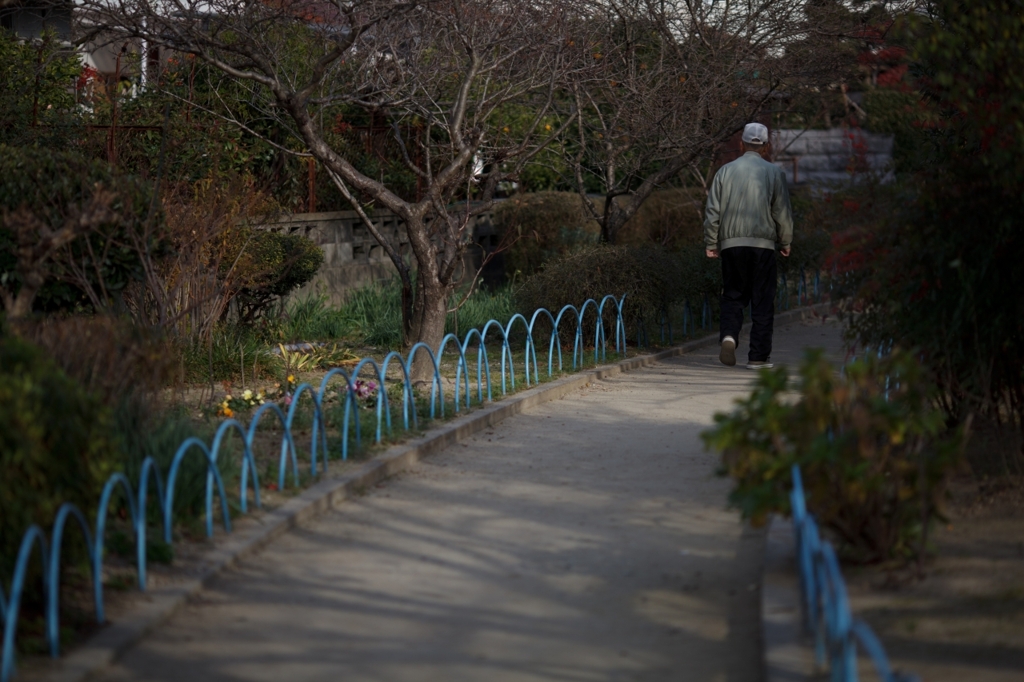 冬の散歩道