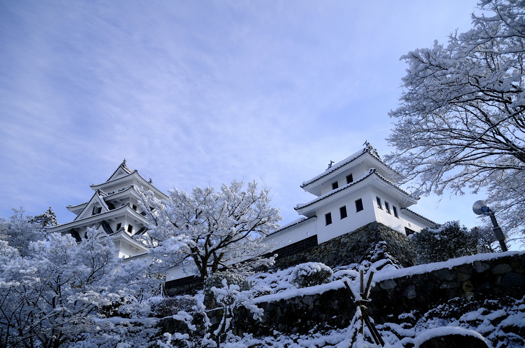 冬の郡上八幡城