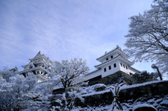 冬の郡上八幡城