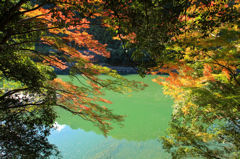 画像 069_conew1