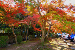 画像 023_conew1