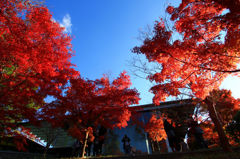 画像 201_conew1