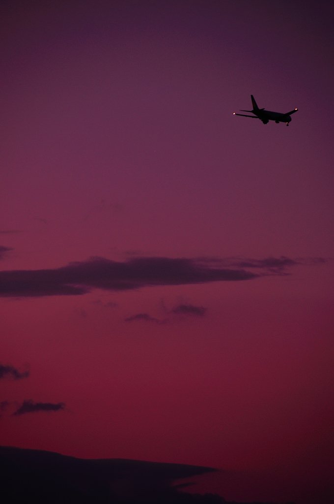 FLY　TO