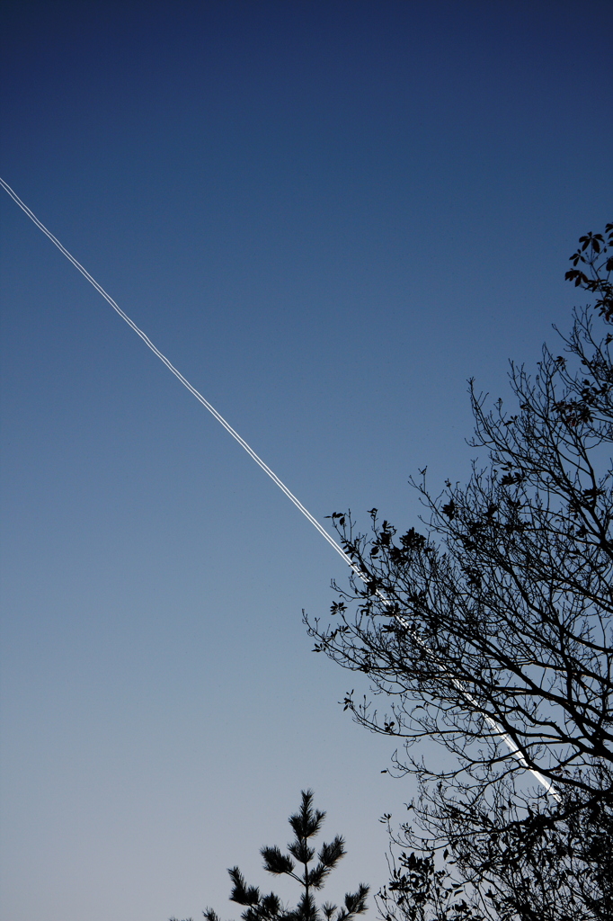 A Dividing Line
