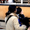京都ぶらり6