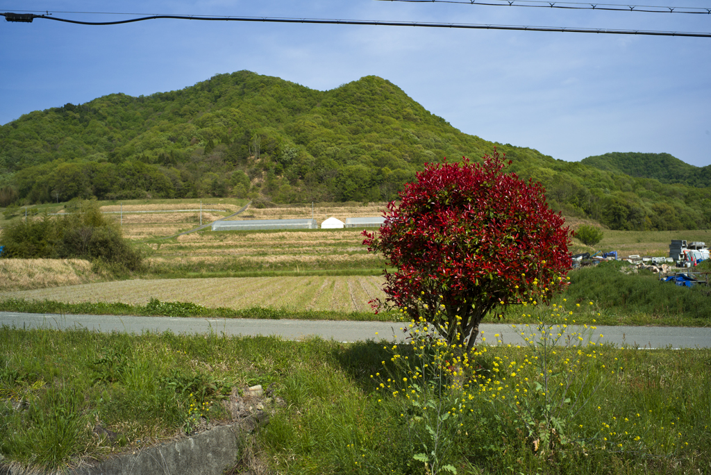 八幡神社へ向かう