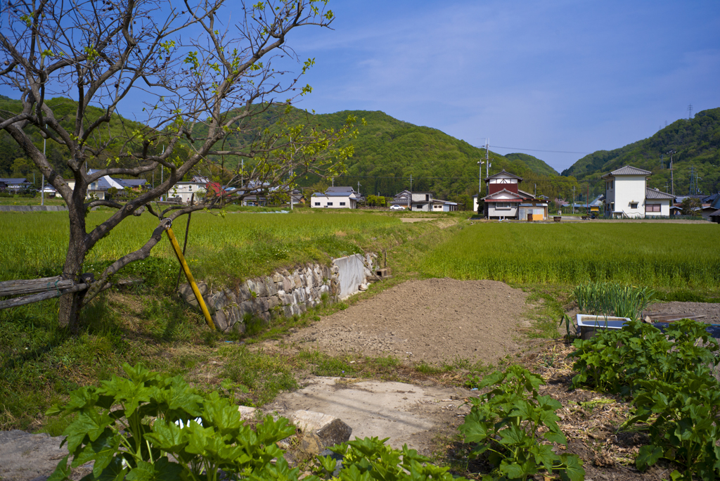 八幡神社へ向かう
