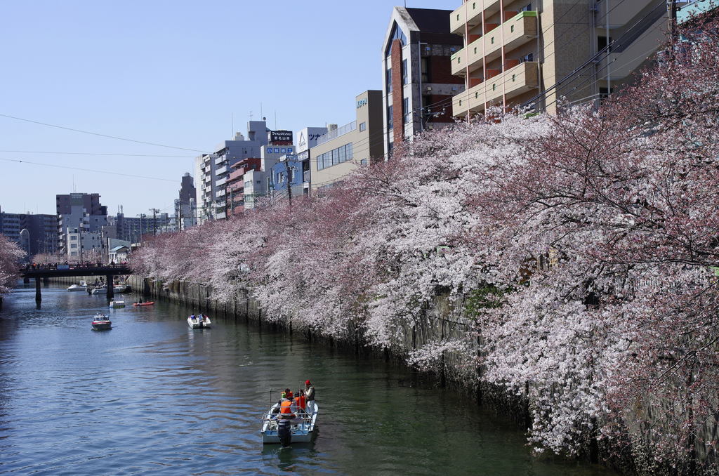 大岡川１