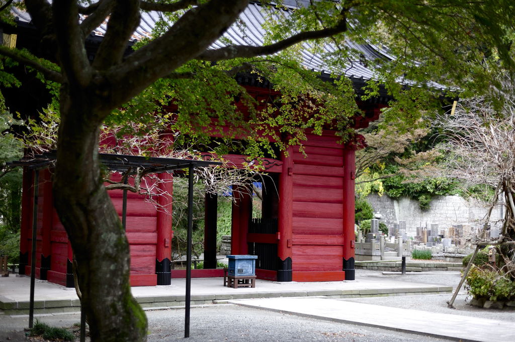 妙本寺