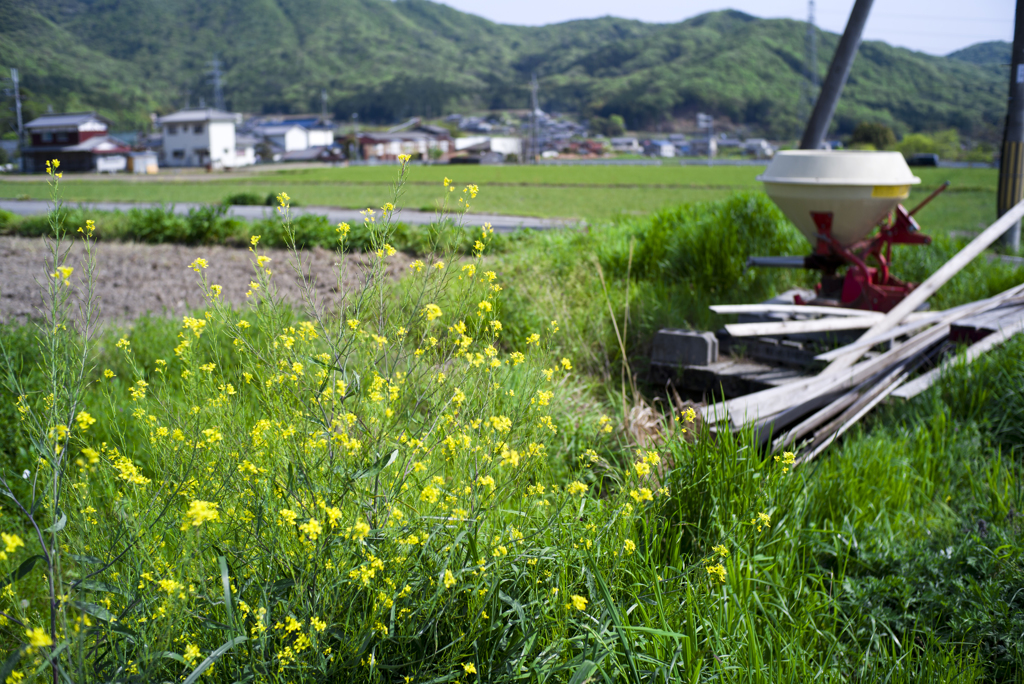 八幡神社へ向かう