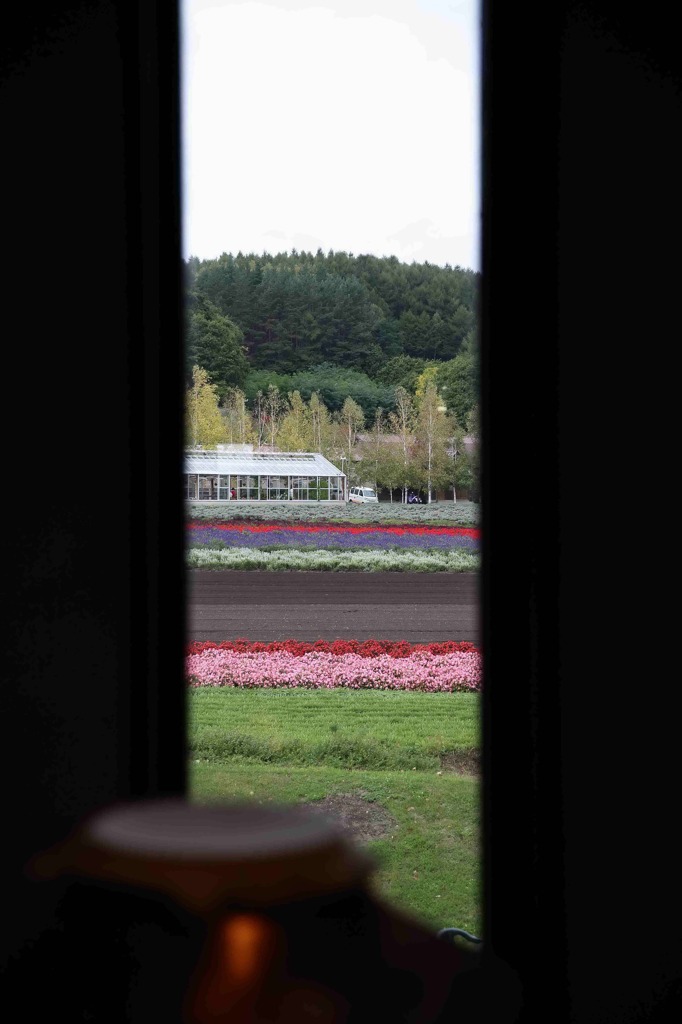 北海道・富良野・層雲峡・紅葉