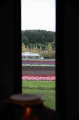 北海道・富良野・層雲峡・紅葉