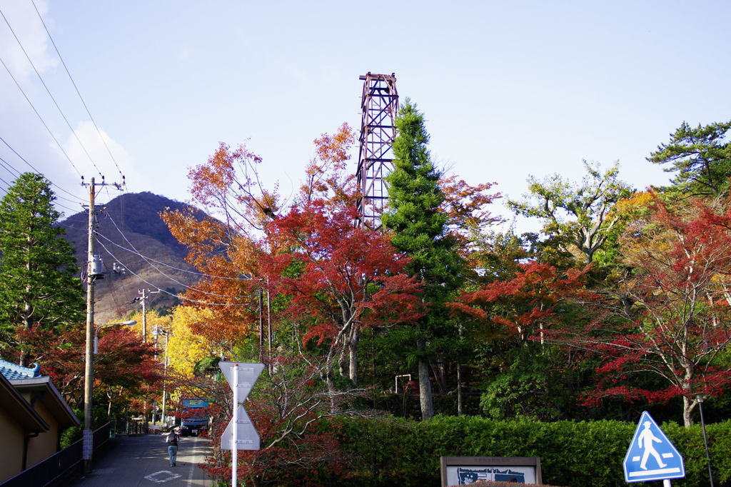 紅葉1