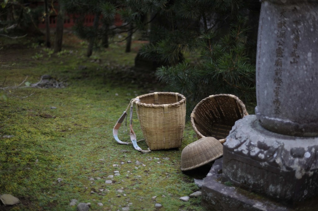 日光７
