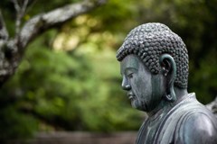 鎌倉散策、浄智寺、東経寺、八幡宮Ⅵ