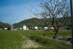 八幡神社へ向かう