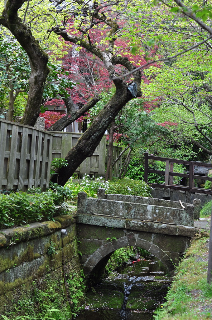 名月院までの道