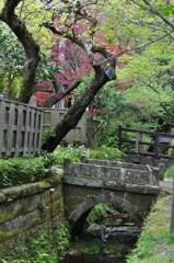 名月院までの道