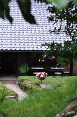 入ってみたかったのですが･･･