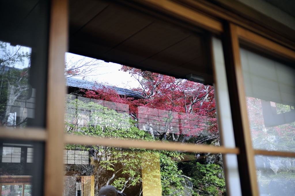 紅葉８
