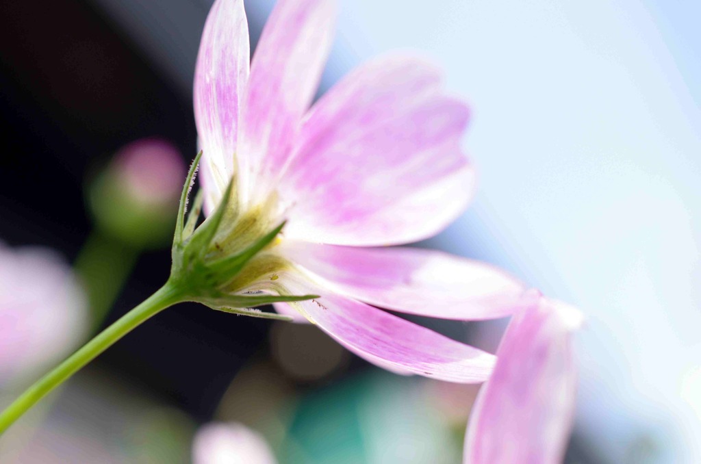 _IGP1860_edited-1