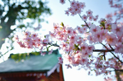 新しい季節のはじまり