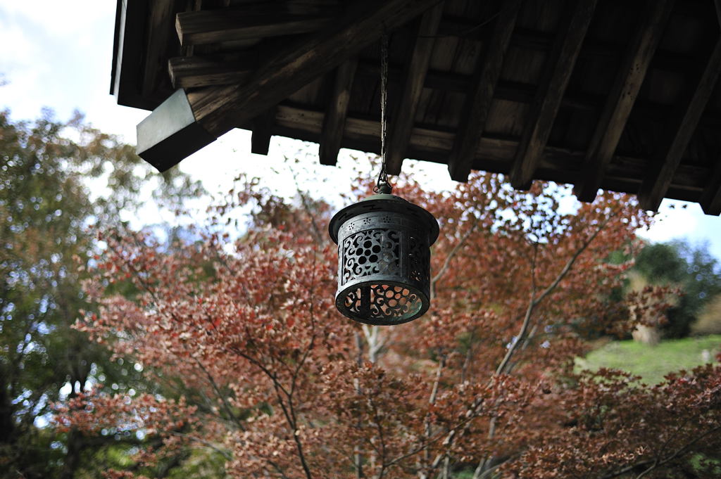 海蔵寺#7