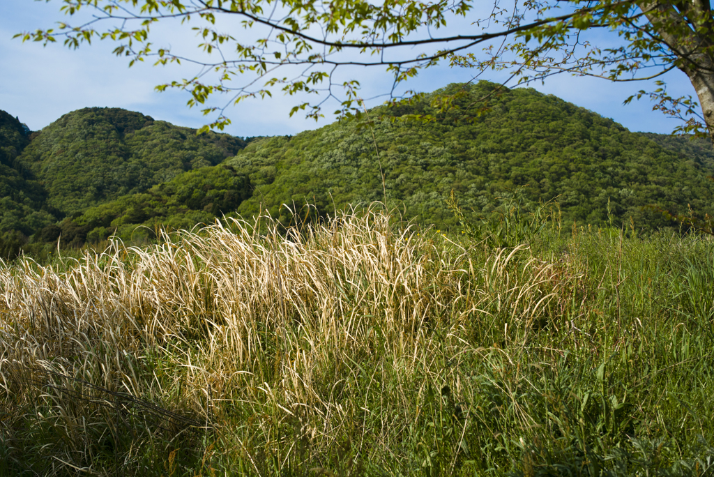八幡神社へ向かう