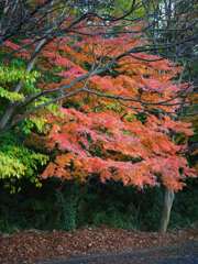 R0010440