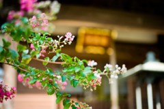 龍華寺Ⅲ