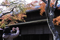 奥様のほうがキレイですョ