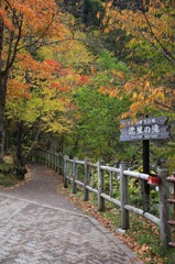 北海道・富良野・層雲峡・紅葉