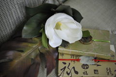 山手#17