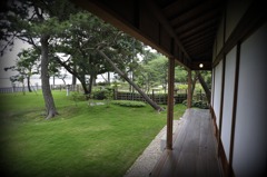 今日の伊藤家５