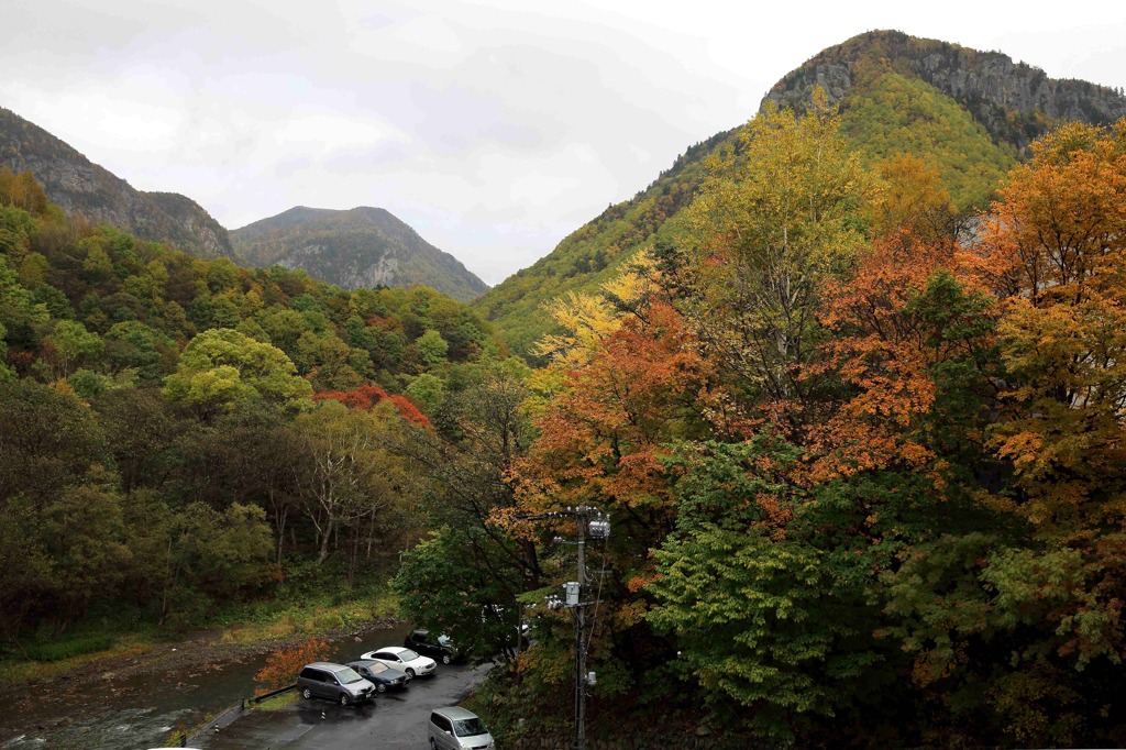 北海道・富良野・層雲峡・紅葉