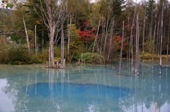 北海道・富良野・層雲峡・紅葉