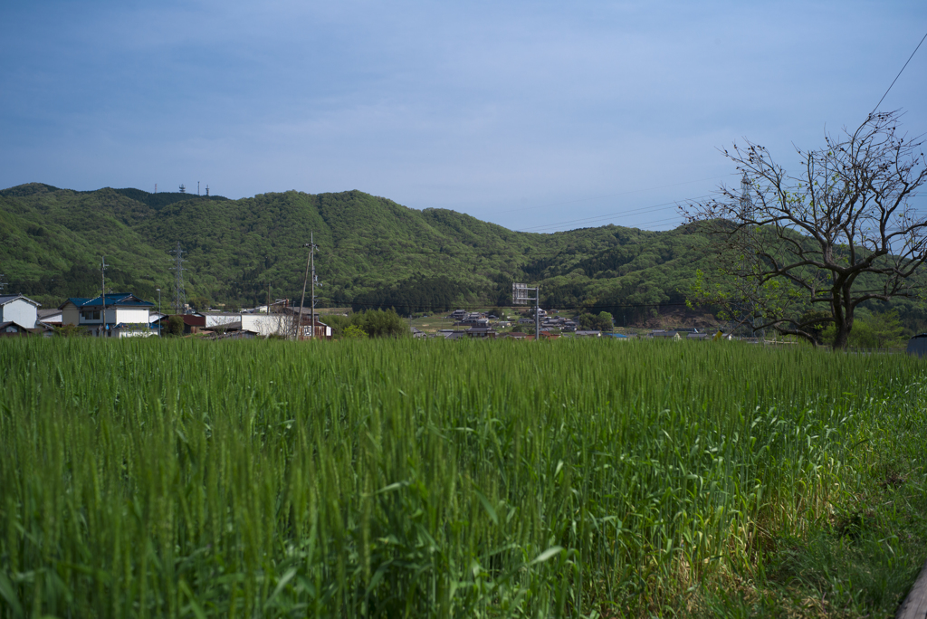 八幡神社へ向かう