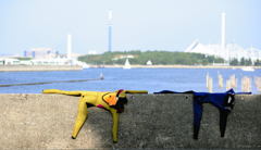 イキ　ピッタリ♪