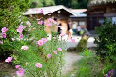 白川郷＃１６