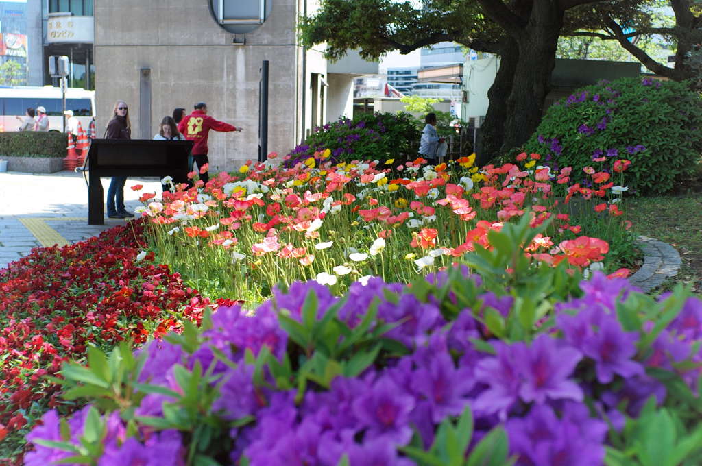 日比谷公園散歩